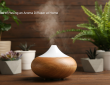 Surprising Benefits of Having an Aroma Diffuser at Home