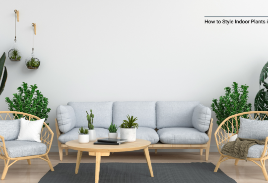 How to Style Indoor Plants in a Living Room