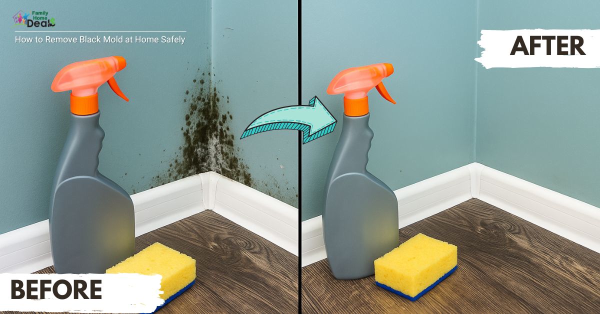 How to Remove Black Mold