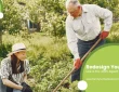 Redesign Your Garden Like a Pro: 2025 Expert Guide