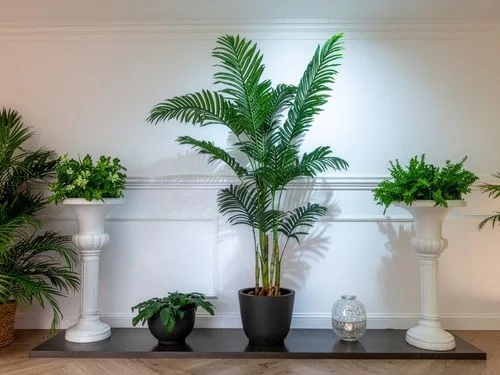 Ultimate Indoor Plant Guide: Tips for Vibrant Growth