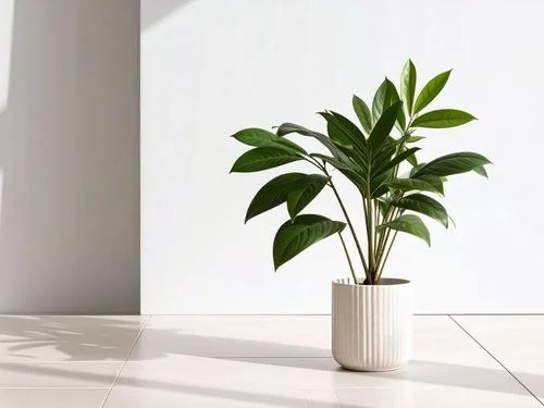 Ultimate Indoor Plant Guide: Tips for Vibrant Growth