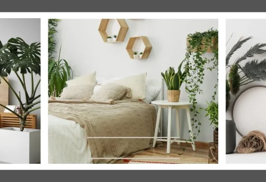 Ultimate Indoor Plant Guide: Tips for Vibrant Growth