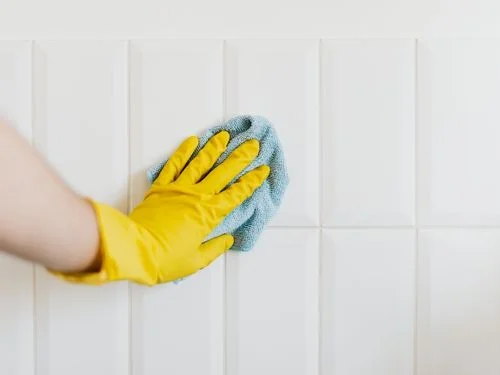 Powerful Non-Toxic Cleaning Tips Celebrities Trust