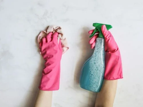 Powerful Non-Toxic Cleaning Tips Celebrities Trust