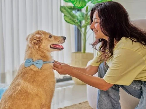 Smart Pet-Friendly Home Tips for Happy, Safe Living