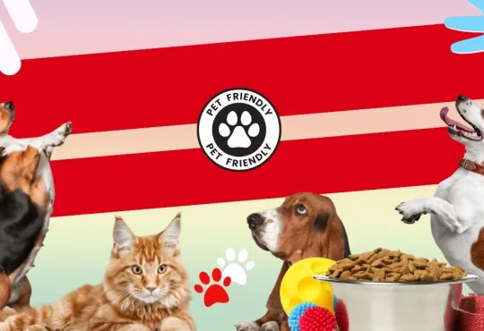 Smart Pet-Friendly Home Tips for Happy, Safe Living