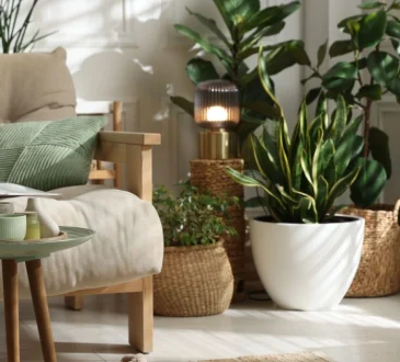 Best Bohemian Interior Design Tips To Make Every Corner Pop