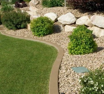 10 Conservation Landscaping Techniques for a Greener Yard